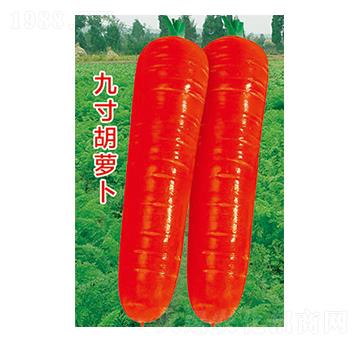 �}���N��-�Ŵ���}��-̫���N�I(y��)