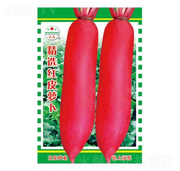 �}���N��-���x�tƤ�}��-̫���N�I(y��)