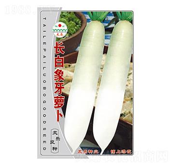 �}���N��-�L(zh��ng)�������}��-̫��(l��)�N�I(y��)