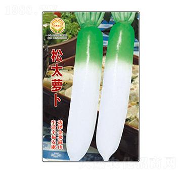 �}���N��-��̫�}��-̫��(l��)�N�I(y��)