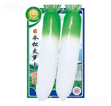 �}���N��-�ձ���̫�}��-̫��(l��)�N�I(y��)