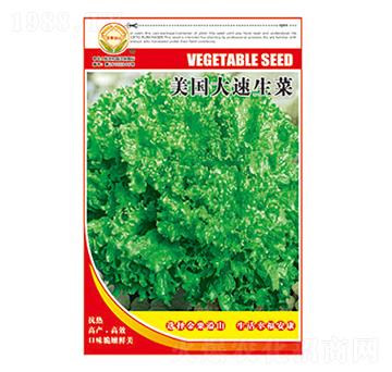 ���˷N��-����(gu��)��������-̫���N�I(y��)