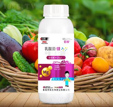 ��������V-�ش�-�Рq����