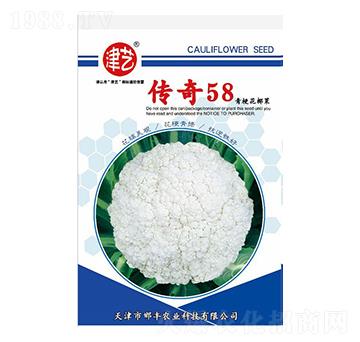 ���˷N��-����58-���S�r�I(y��)