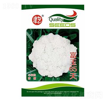 ���˷N��-����65��-���S�r�I(y��)