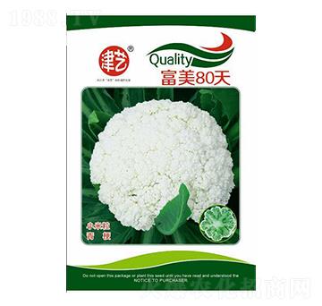 ���˷N��-����80��-���S�r�I(y��)