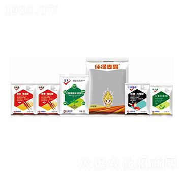 小麥病蟲害解決方案-佳綠麥霸-美邦化工