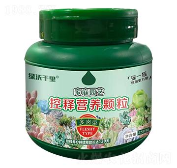 多肉型家庭園藝控釋營(yíng)養(yǎng)顆粒-綠沃千里-綠沃肥業(yè)