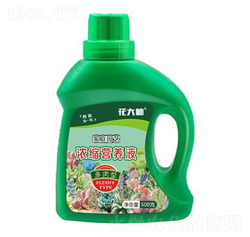 多肉型家庭園藝濃縮營(yíng)養(yǎng)液-花大帥-綠沃肥業(yè)