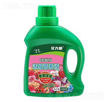花卉型家庭園藝濃縮營養(yǎng)液-花大帥-綠沃肥業(yè)