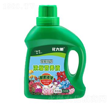 蘭花型家庭園藝濃縮營養(yǎng)液-花大帥-綠沃肥業(yè)