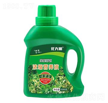 綠蘿型家庭園藝濃縮營養(yǎng)液-花大帥-綠沃肥業(yè)