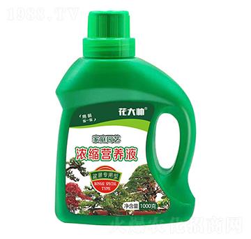 盆景專用型家庭園藝濃縮營養(yǎng)液-花大帥-綠沃肥業(yè)