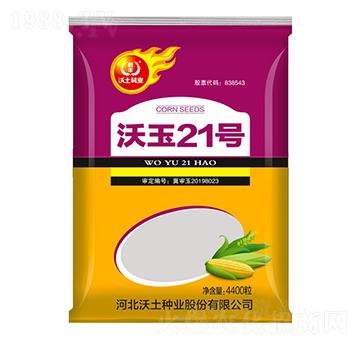 沃玉21號(hào)-玉米種子-沃土種業(yè)
