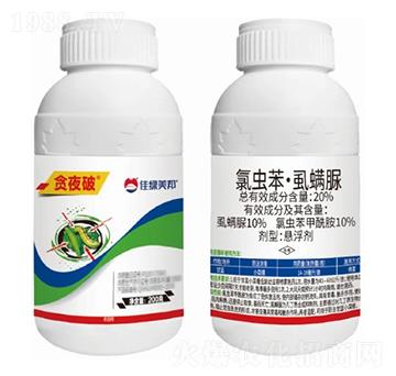 20%���x(ch��ng)����ʭ����Ҹ���-؝ҹ��-�����