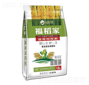 返青柯杈肥-福稻家-康諾肥業(yè)