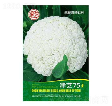 ���˷N��-��ˇ75-���S�r(n��ng)�I(y��)