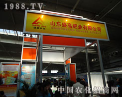 ʢ�ߴ󻯷����ИI(y��)�l(f��)չ