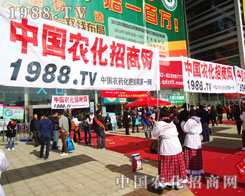 ���յ�ɫ��չ�F(xi��n)���҂��r�����̾W(w��ng)�Ļ���