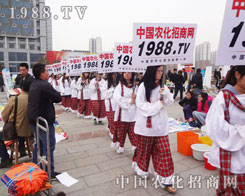 2012���ʮ�ˌÝ�(j��)��ֲ�����҂�����һ��(g��)�µ��@ϲ