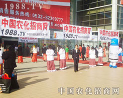 �r�����̾W(w��ng)��Ӱ�����������