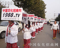 �r(n��ng)�����̾W(w��ng)2012����ֲ���p���������c