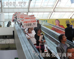 �r(n��ng)���W(w��ng)��(zh��n)ʿ�����p�����|����ƴ��һƬ�x�͵����