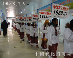 �ɹ������иɄŵ��r(n��ng)���W(w��ng)��