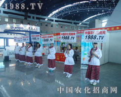 �����r(n��ng)�Y��(hu��)���r(n��ng)�����̾W(w��ng)�đ�(zh��n)ʿ��?n��i)����Ը? width=