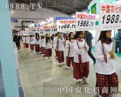 չ�����ʲ��������c���Ӳ�Ͼ