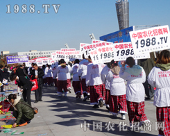 �����Fꠂ��e�O��Ͷ�뵽����������