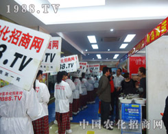 2013�Ϸʷ��Ͻ��ו��ϣ��҂���һ�������L(f��ng)������