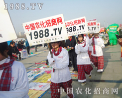 �ڰˌ�ɽ�|�r(n��ng)�Yչ�[�����S̎��Ҋ�r(n��ng)���Fꠊ^������Ӱ