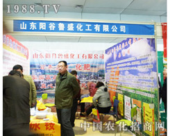 ꖹ���ʢ�ڵڰˌ�ɽ�|�r(n��ng)�Yչ�����ķ���(w��)