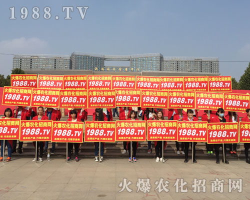 �r(n��ng)����Ӣ��2016ɽ�|ֲ�����ו�(hu��)ȫ��ƴ����