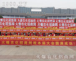 2016ɽ�|ֲ����(hu��)���r(n��ng)���F(tu��n)�(du��)��(sh��)���ɓ���