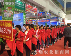 2016ɽ�|��(j��)��ֲ������1988.TV�M�M؟(z��)