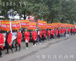 2016ɽ�|ֲ�����ו���1988.TV������