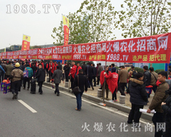 2016ֲ�������r(n��ng)�����̾W(w��ng)�����ݴ�������