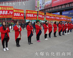 �r(n��ng)���W(w��ng)�tɫ܊�F(tu��n)��2017��14����ԭ���ϕ�ȫ���Ը�