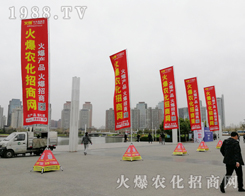 2019���ϴ���ֲ����(hu��)���r(n��ng)���W(w��ng)���P(y��ng)�ķ���