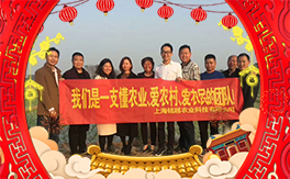 ���Խ�r(n��ng)�I(y��)����ף������������������д��\��