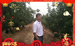 ����������ʘI(y��)��ȫ�w�T����ף���Ͽ͑�����옷�������³ɣ�