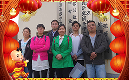 ���������B(t��i)��ף��(j��ng)�N���������µ�һ���������³�������������