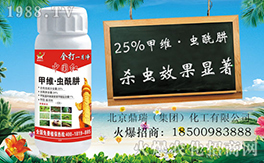 ����������ף������µ�һ�����Ҹ����M���H�Қg����