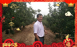 ������ʘI(y��)��ף���Ѻ��¶����Ц�ݶ����