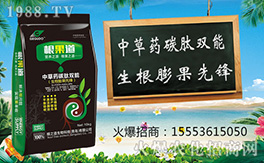 �����u��֮����ףԸһ·�������т����w�������i�꼪�飡