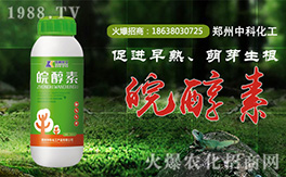 ���пƻ�����ף�������µ�һ�����Ҹ����M���H�Қg��