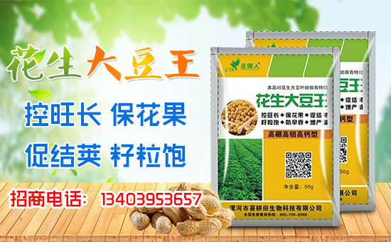 ��ϲ�������ף��(j��ng)�N������A�M�������������������