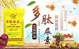 �������r(n��ng)�I(y��)����ף����´��옷�����w�������H���Ҹ����f��������